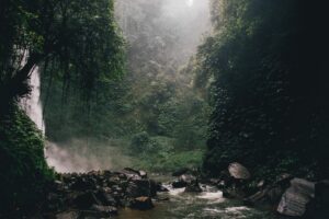 arti-mimpi-membersihkan-kotoran-manusia-dan-kaitannya-360